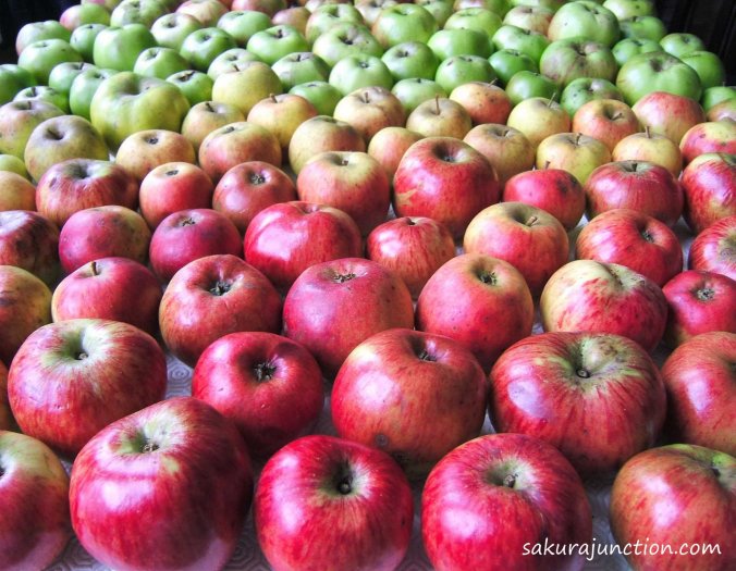 135 Apples 2
