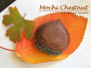 mochi-chestnut-uiro-japanese-sweet-wagashi-london