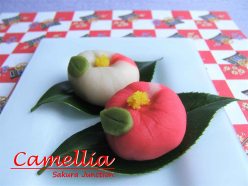 camellia-Japanese Sweet Wagashi London nerikiri