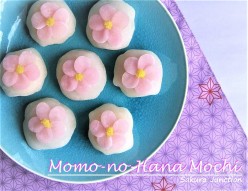 Momo no Hana Mochi Wagashi Japanese Sweet London 創作和菓子