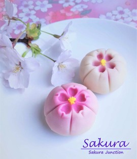 Sakura Wagashi Japanese sweets London