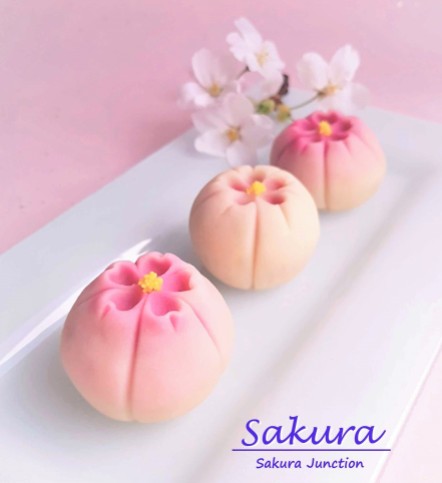 Sakura Japanese sweets wagashi London