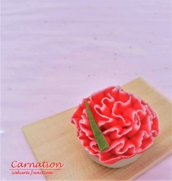 Carnation 2