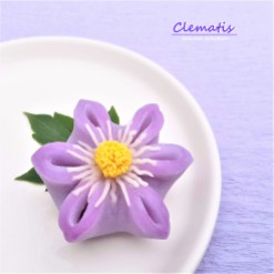 Clematis 7