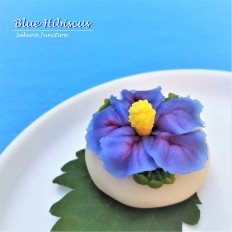 Blue Hibiscus Wagashi Japanese sweets dessert food London